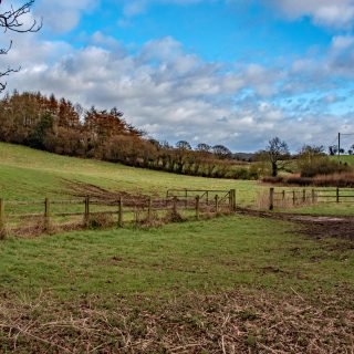 (506) Looking east across the Chalfont St Giles vent shaft site - Feb. 2016 (04_551)