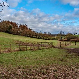 (506) Looking east across the Chalfont St Giles vent shaft site - Feb. 2016 (04_556)