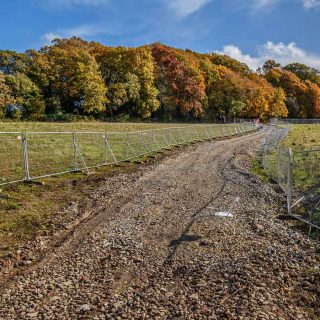 (56) Looking south from PRoW TLE 5/2 towards Jones' Hill Wood l- Oct. 2020 (18_46)