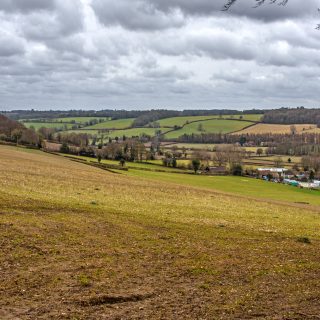 (58) Jones' Hill Wood & Durham Farm looking south west from King's Lane - Mar. 2021 (18_60)