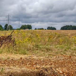 (62) Looking north along the trace towards Cottage Farm overbridge - Aug. 2021 (14_74)