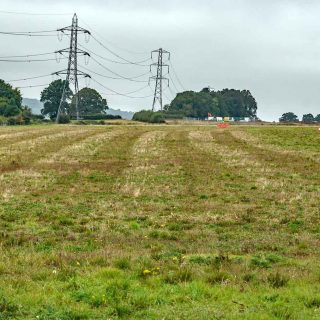 (67) Looking north along the route towards Grim's Ditch - Sep. 2021 (14_87)