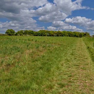 (79) Looking east along PRoW GMI 13 towards Jenkin's Wood - May 2019 (08_95)