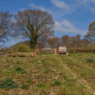 (81) Looking north towards Bowood Lane - Apr. 2021 (17_103)