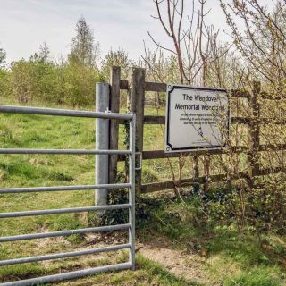 (83) Wendover Memorial Woodland - Apr. 2024 (23_81)