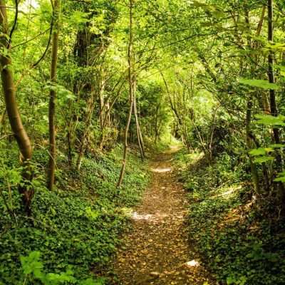 Sunny footpath at Cobblers Pits