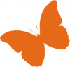 butterfly_orange